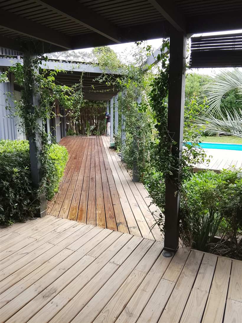 Deck de madera recién pintado bajo pérgola con jazmines, con la pileta al fondo